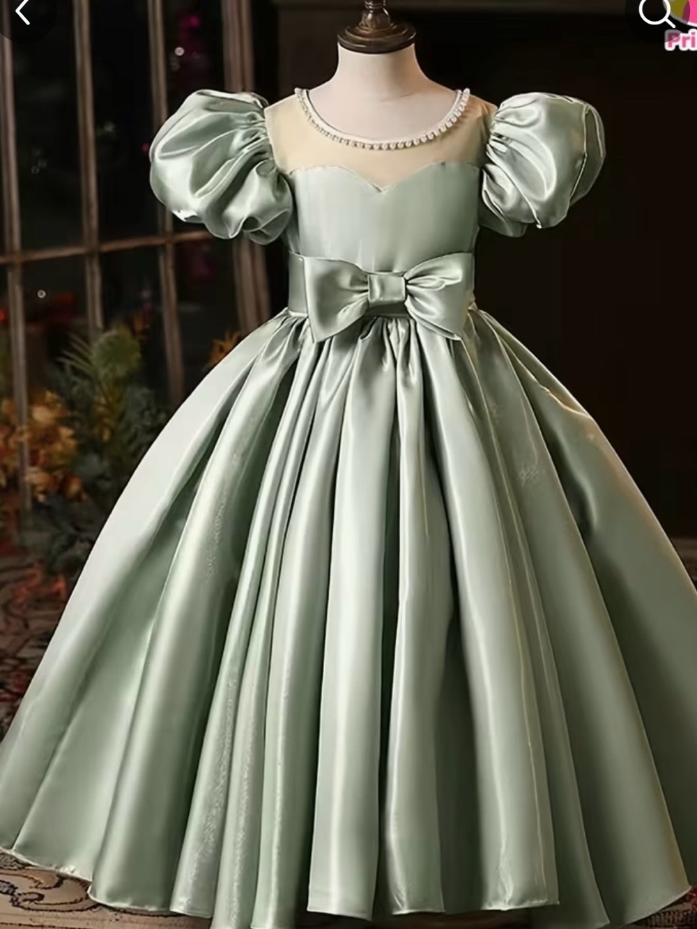 Princess dress girls dress with puff sleeves formal wear beaded details